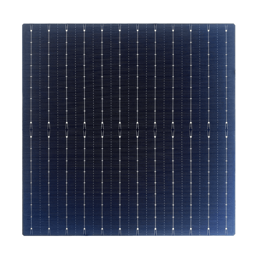 Mono 210mm PERC Vitreum Duplex Cell